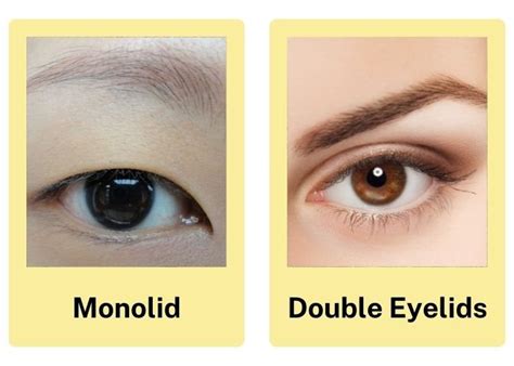 Monolids VS. Double Eyelids